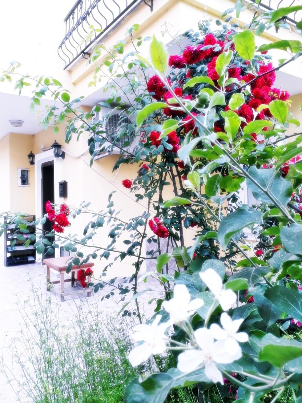 Paradise Villa Τραμπζόν Εξωτερικό φωτογραφία