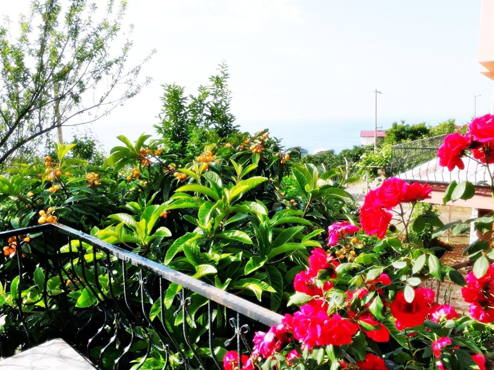 Paradise Villa Τραμπζόν Εξωτερικό φωτογραφία
