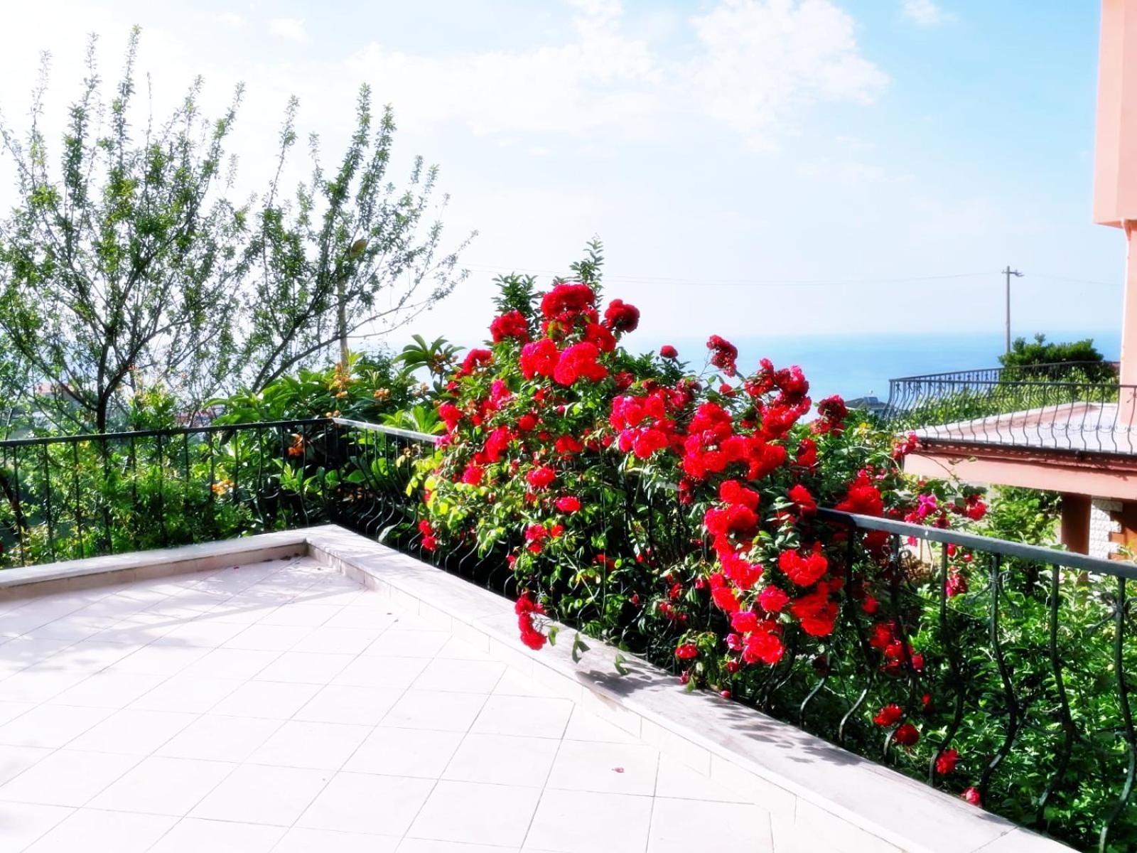 Paradise Villa Τραμπζόν Εξωτερικό φωτογραφία