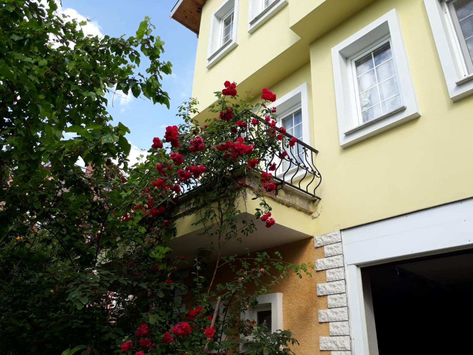 Paradise Villa Τραμπζόν Εξωτερικό φωτογραφία