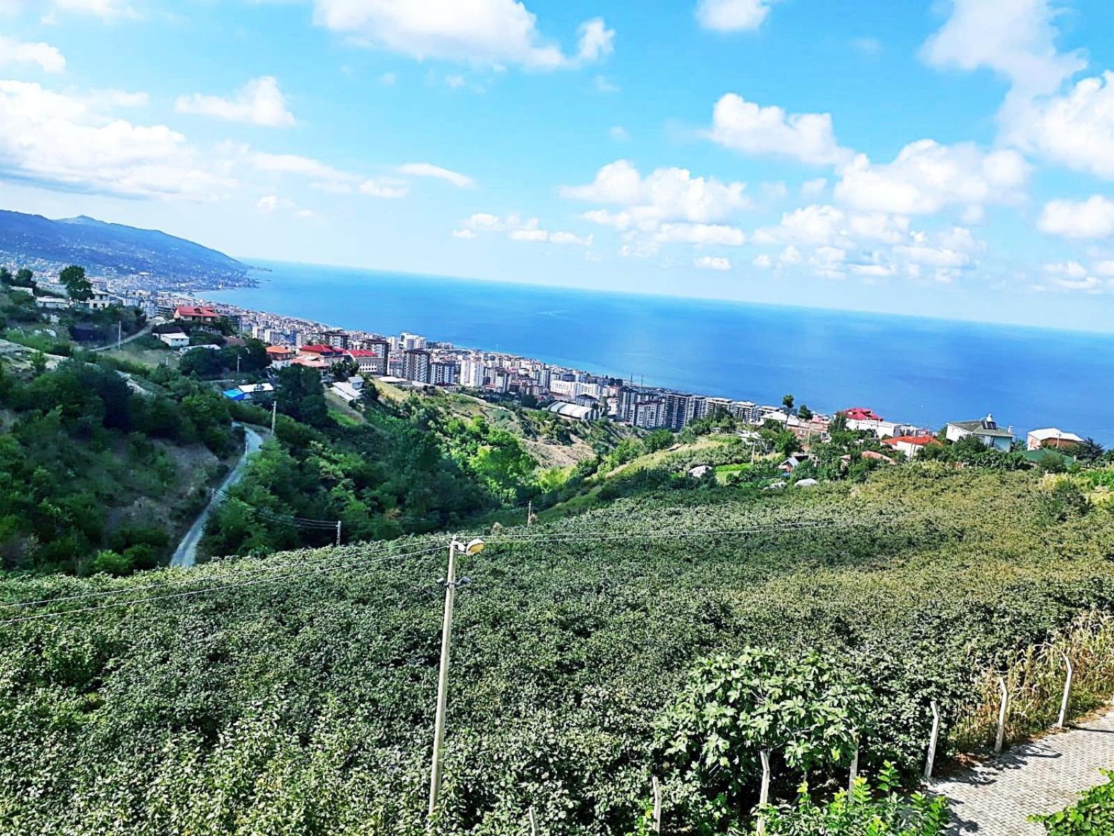 Paradise Villa Τραμπζόν Εξωτερικό φωτογραφία