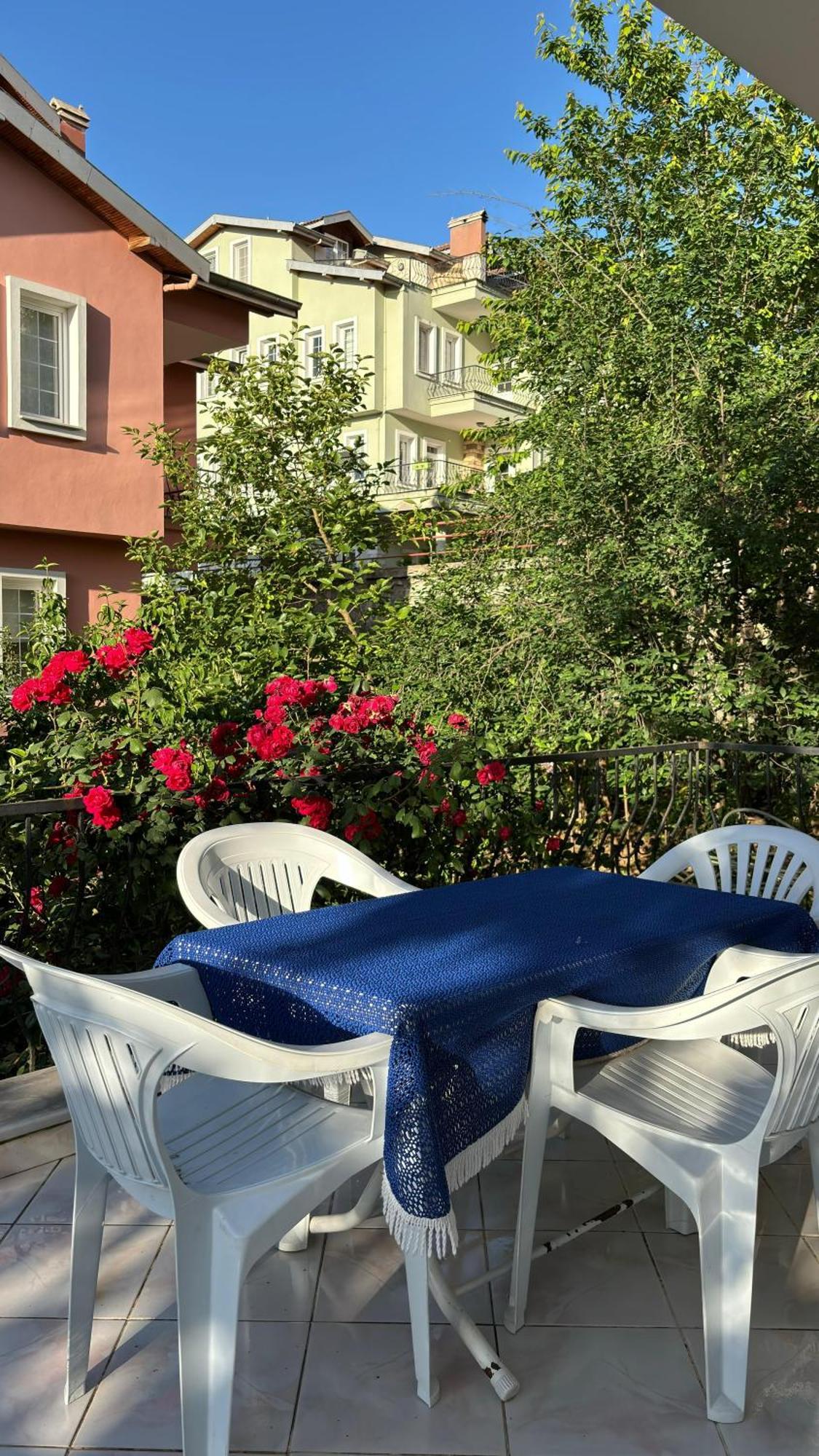 Paradise Villa Τραμπζόν Εξωτερικό φωτογραφία